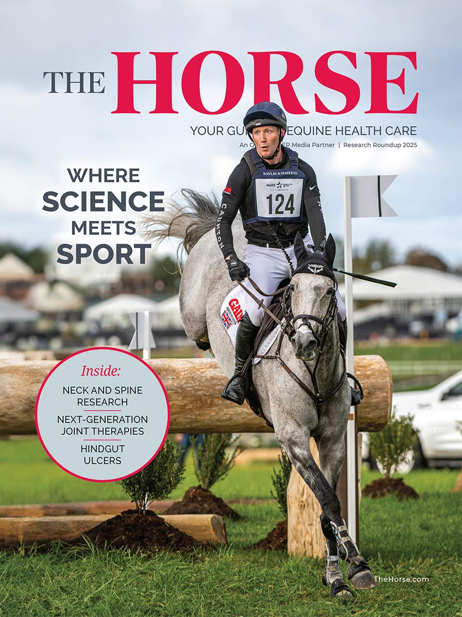 thehorsecover